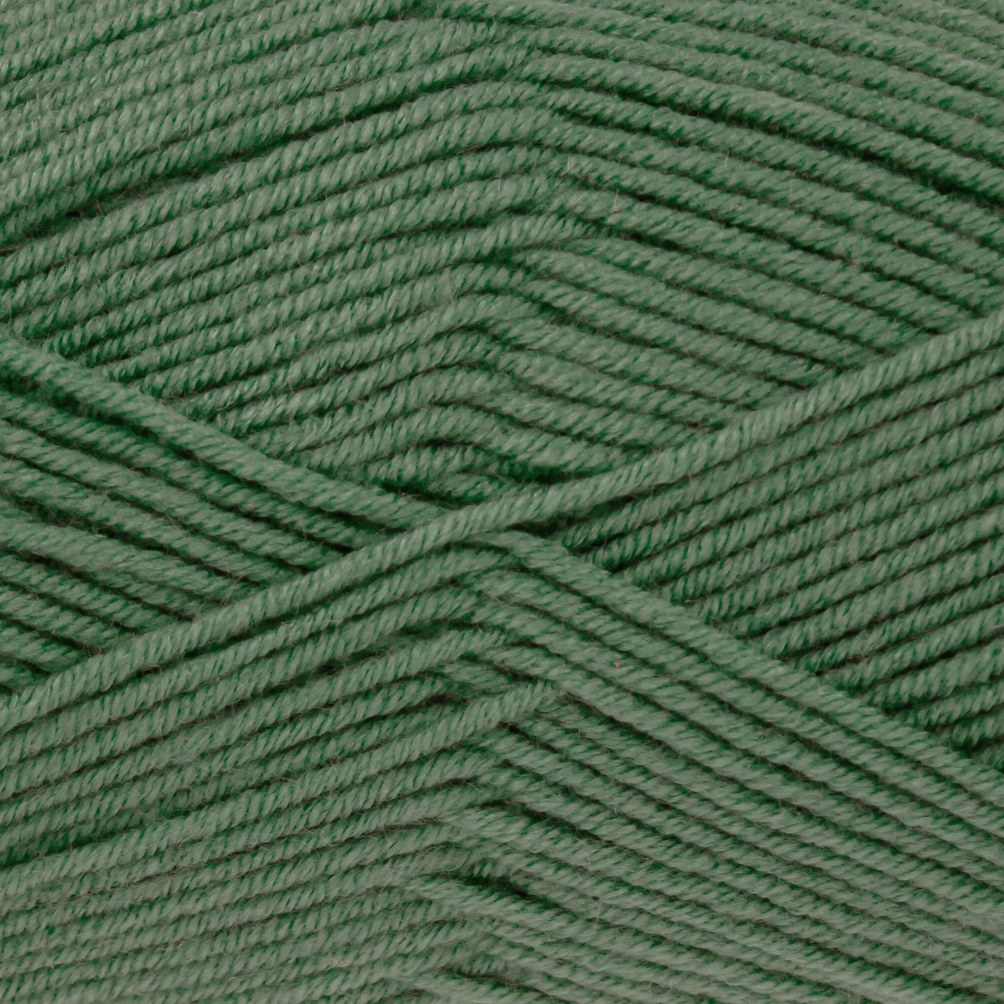 Olive - 5662