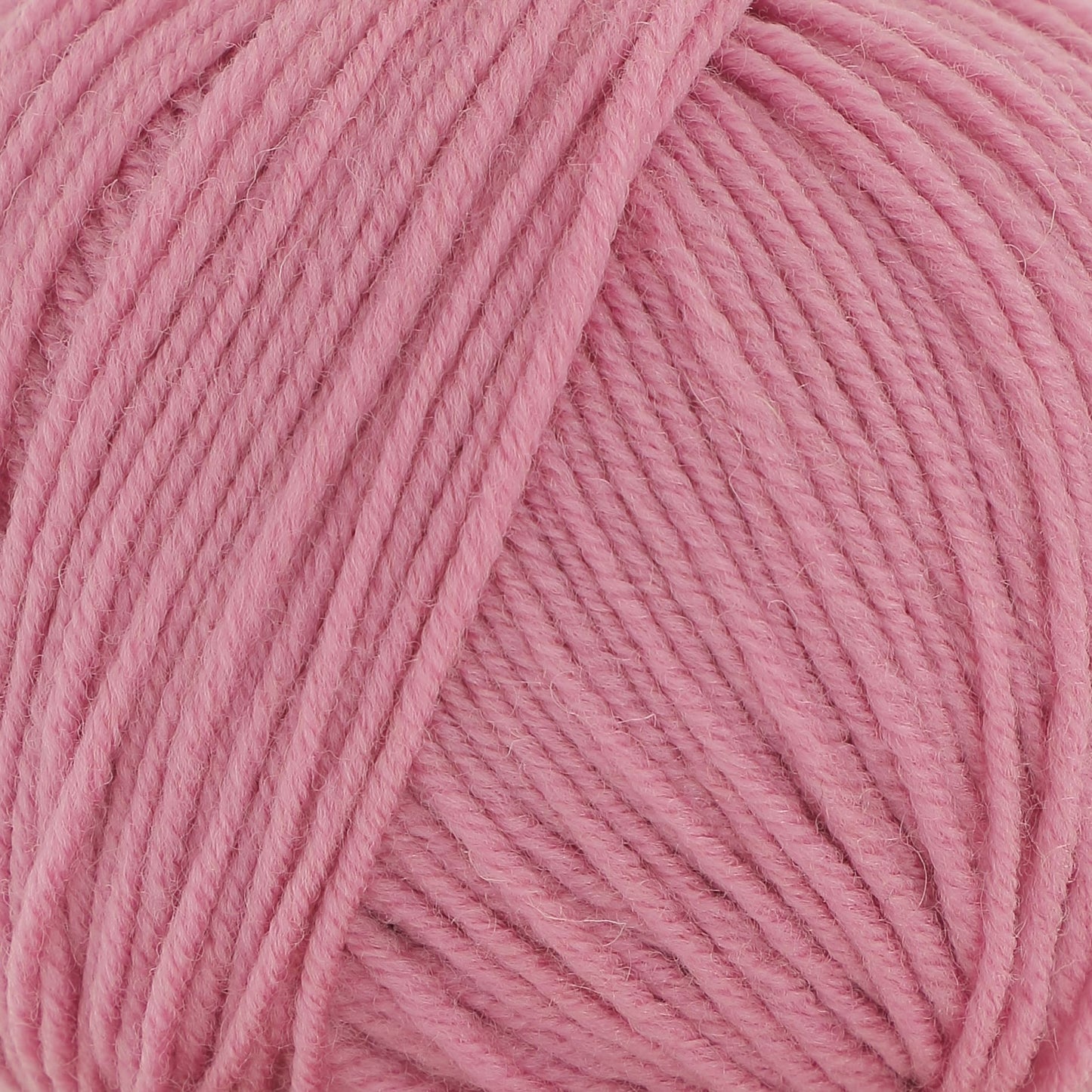 NEW - Vintage Rose - 3395