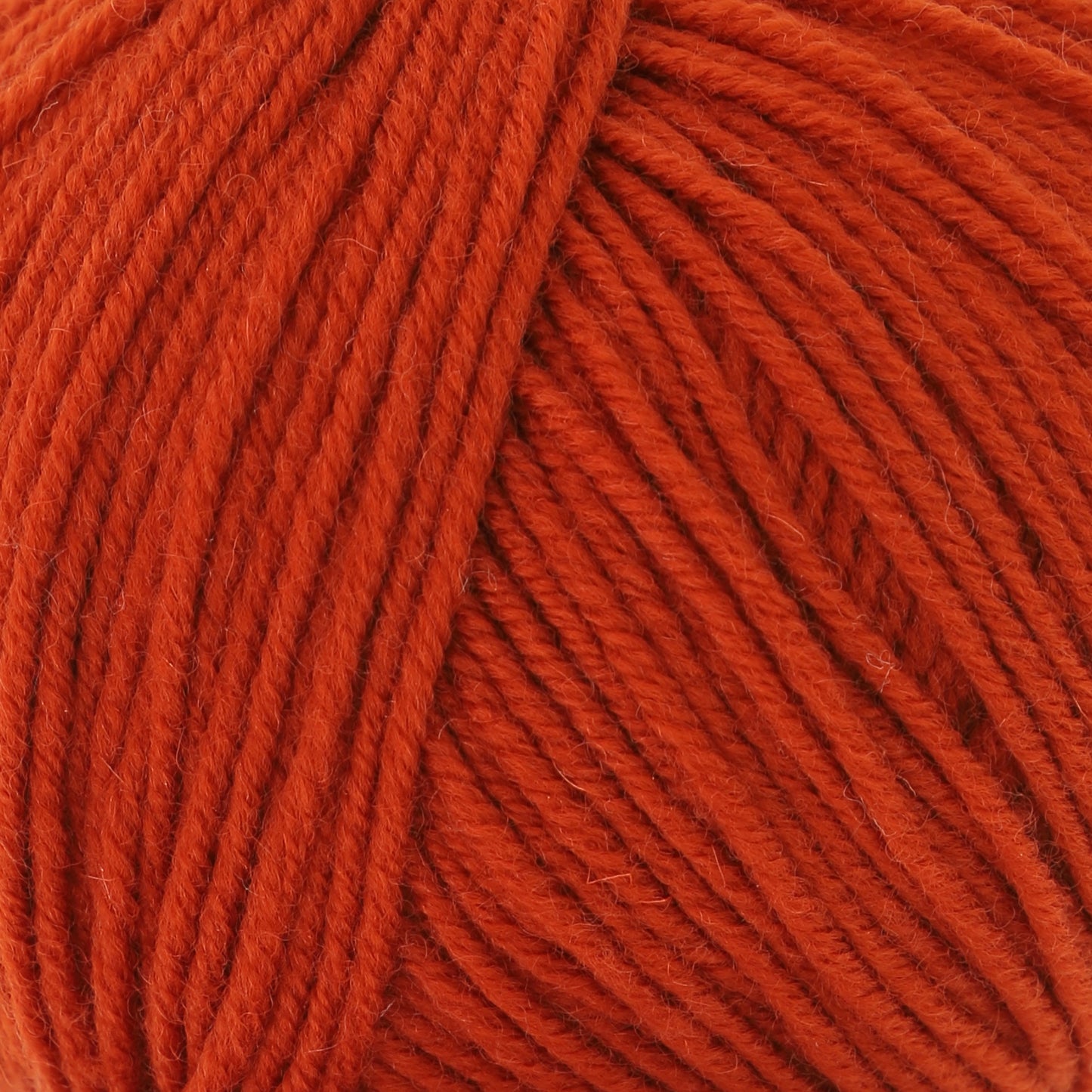 NEW - Autumn Leaves - 3396