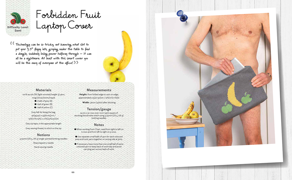 Nudinits at Home by Sarah Simi - 19 naughty knitting patterns for home accessories