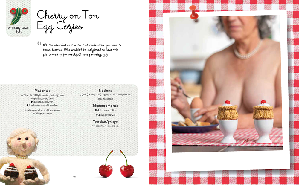 Nudinits at Home by Sarah Simi - 19 naughty knitting patterns for home accessories