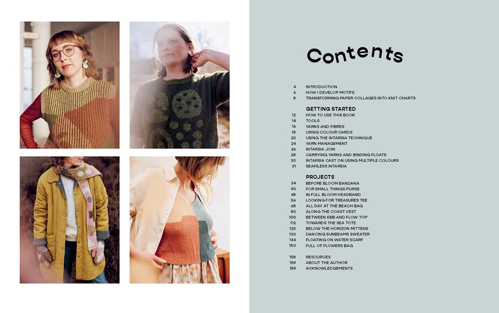 Intarsia Knits by Anna Husemann