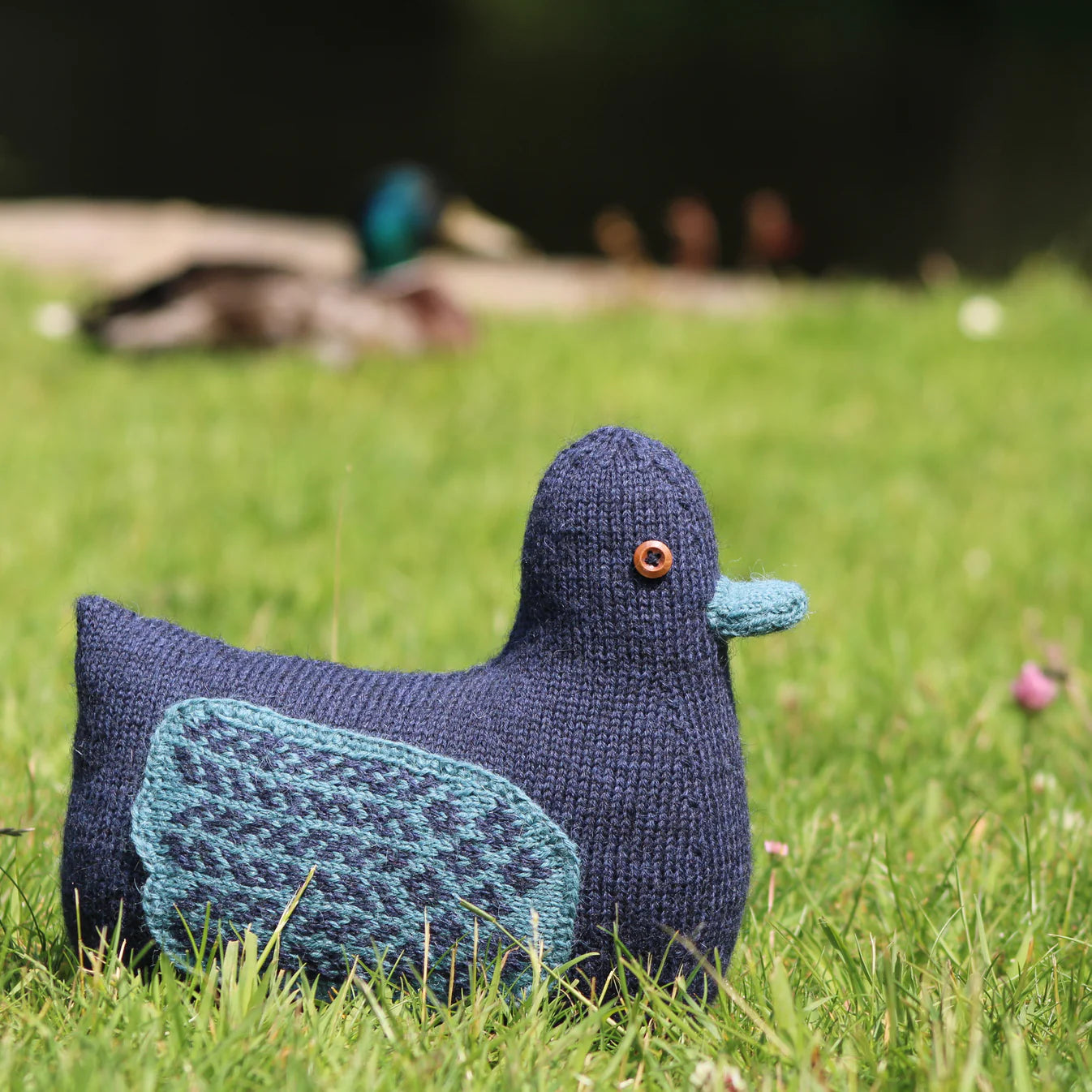 Baa Ram Ewe - Dabbling Duck pattern