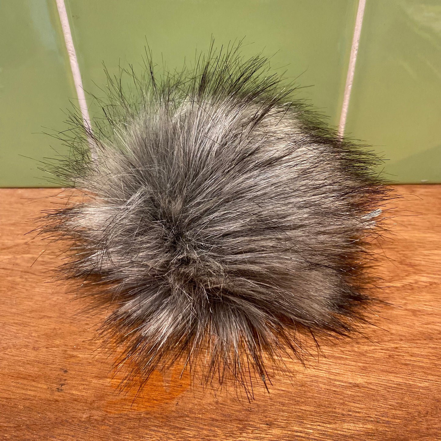 Raccoon