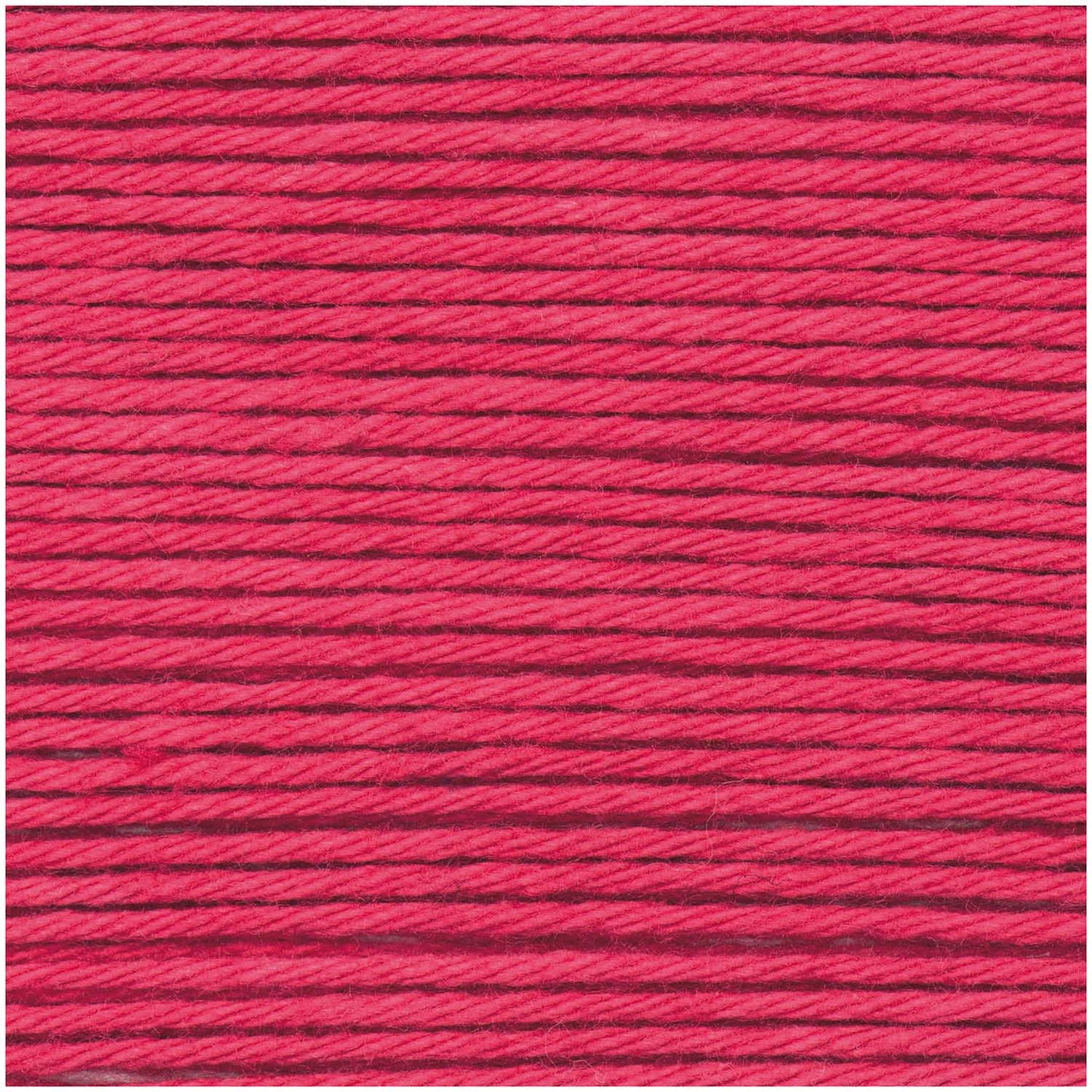 Raspberry - 013