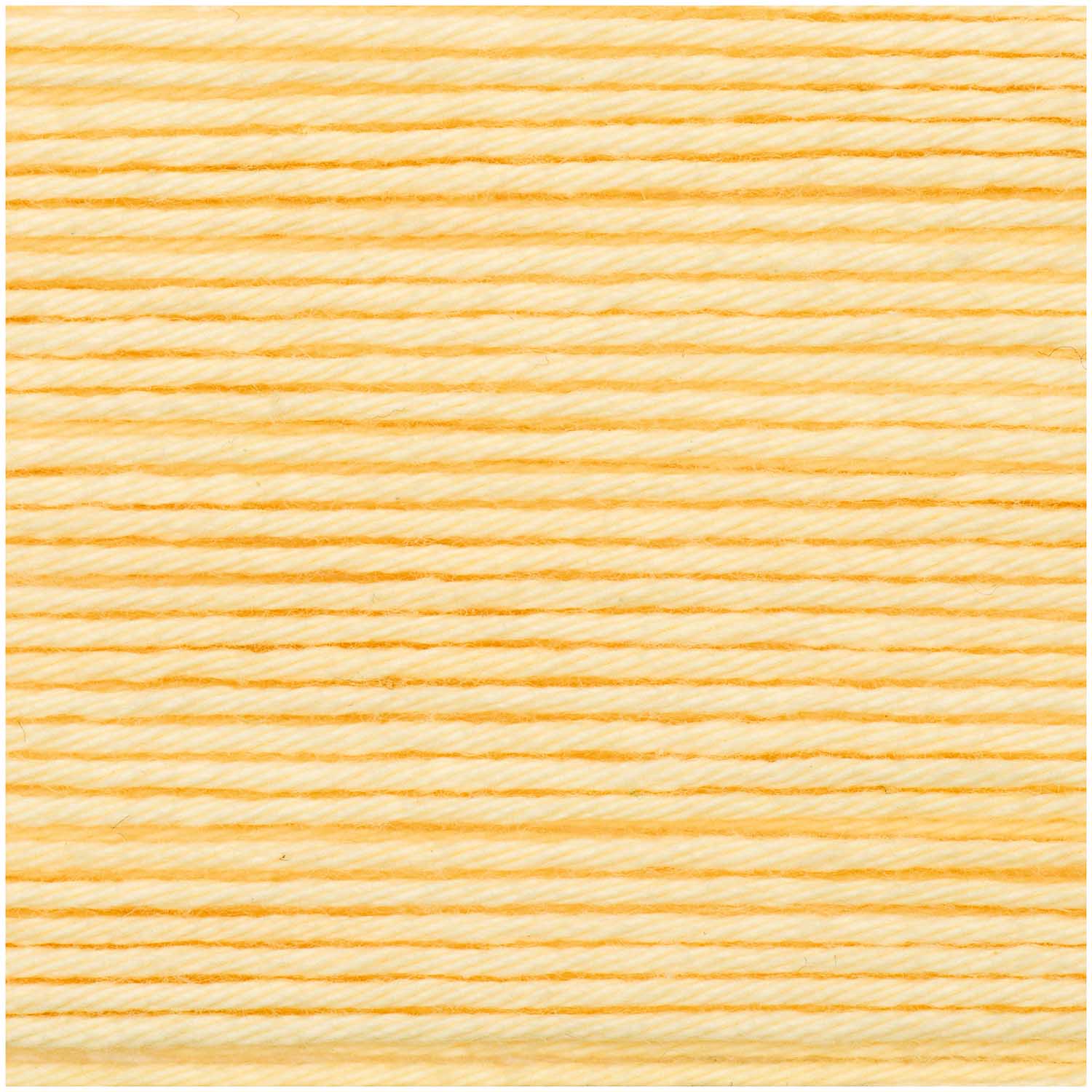 Vanilla - 05