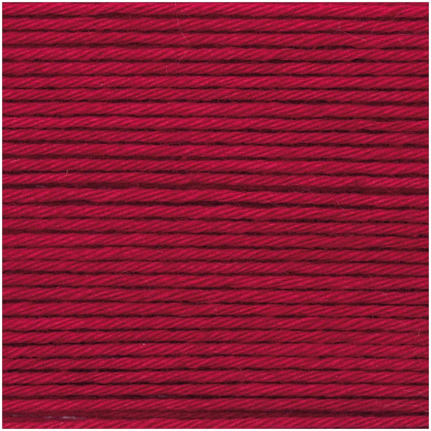 Winter Red - 029