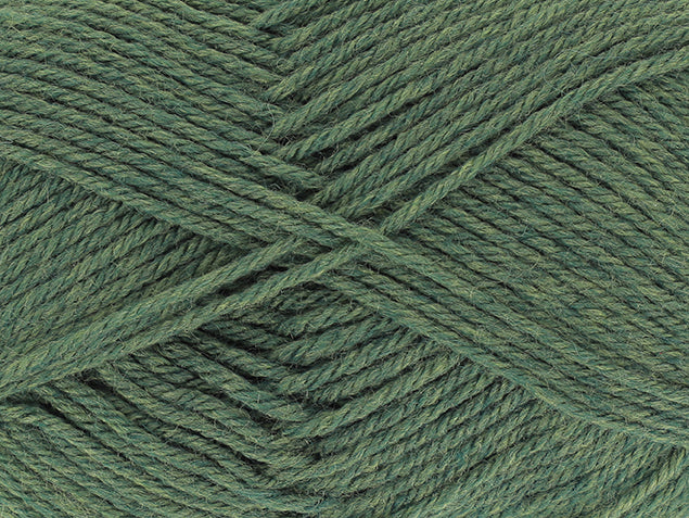 Sage - 3494