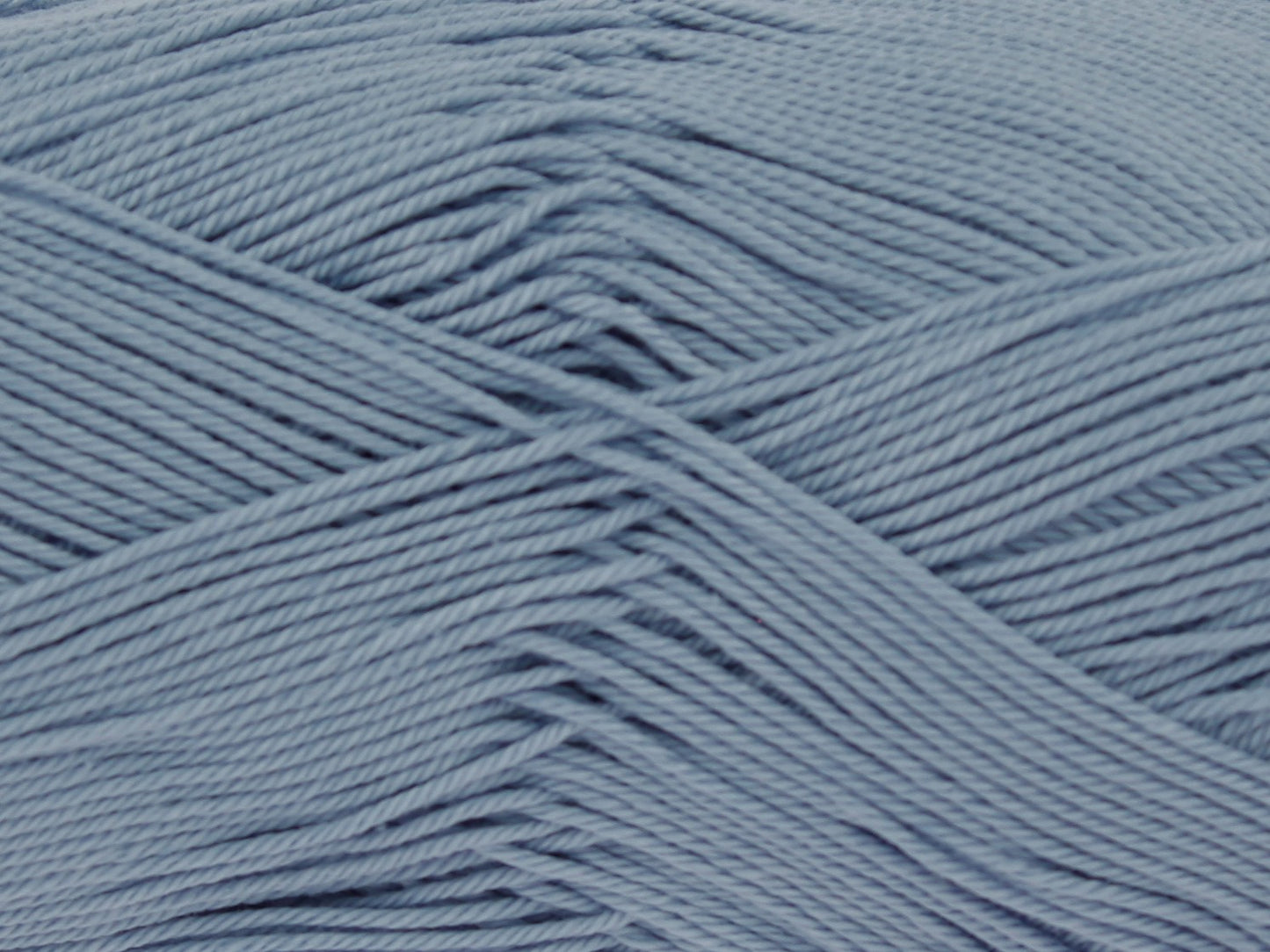 Bluebell - 2198