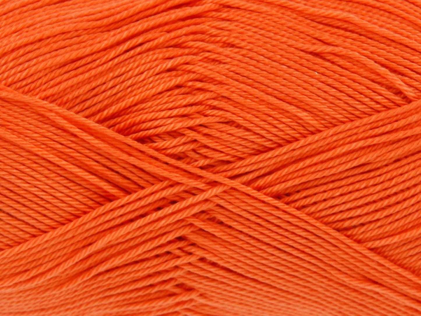 Orange - 2204