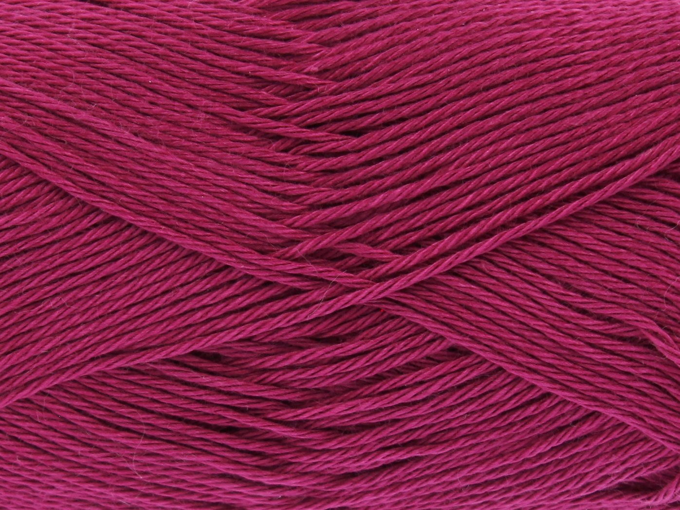 Boysenberry - 2421