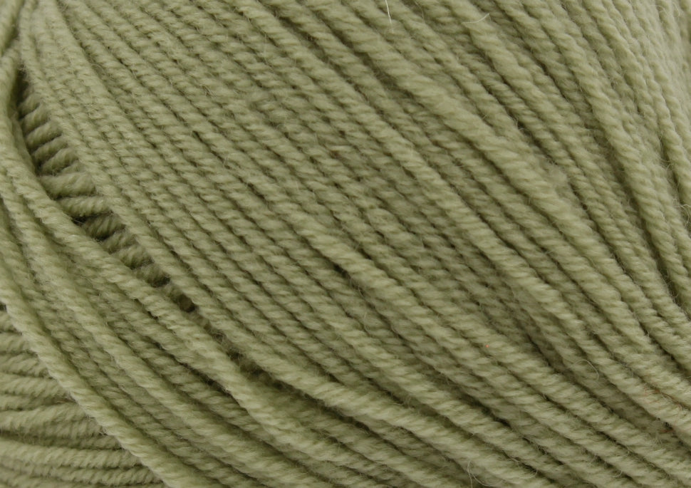 Sage 2618