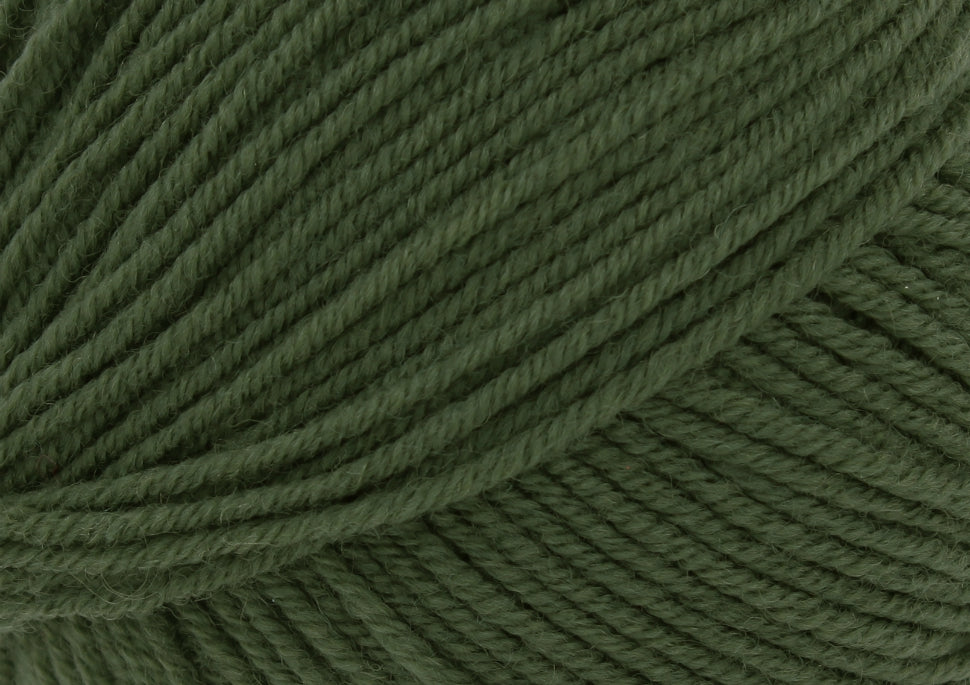 Mildew 2625
