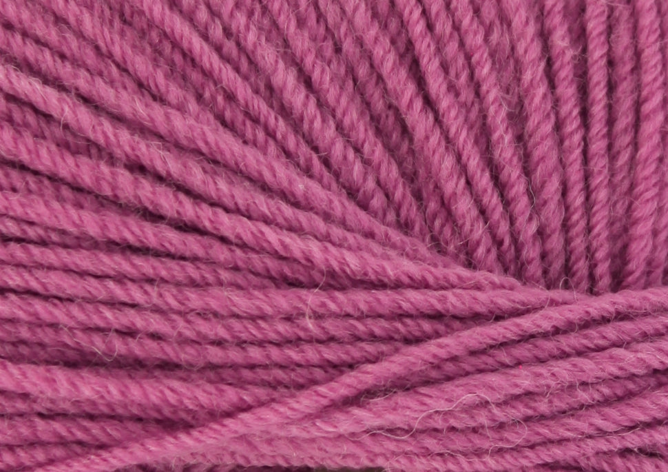 Antique Rose 2639