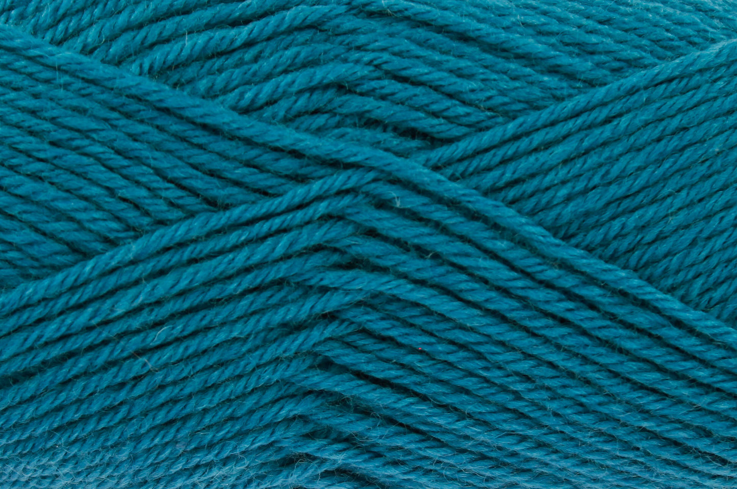 Peacock - 2661