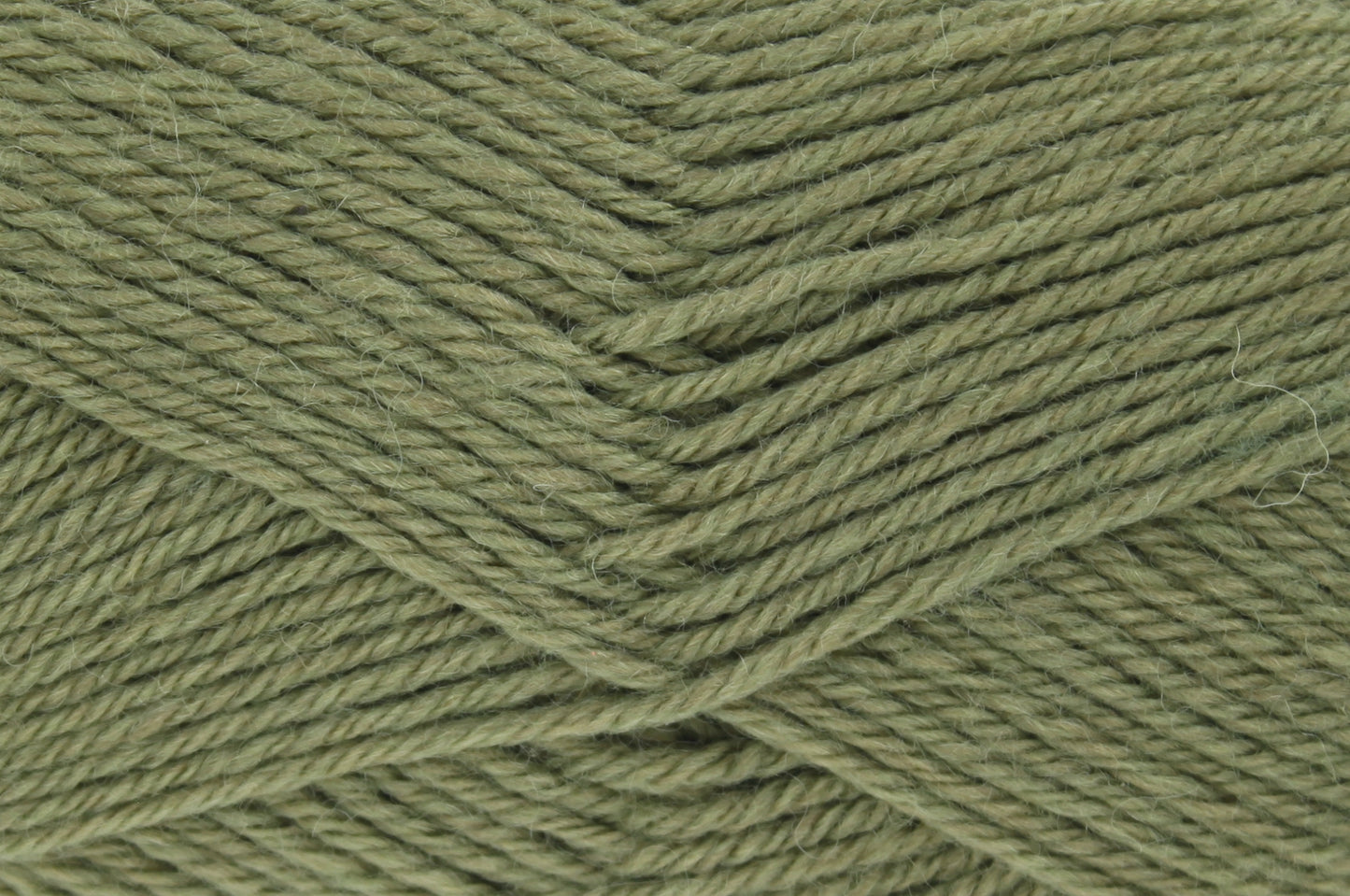 Bayleaf - 2663