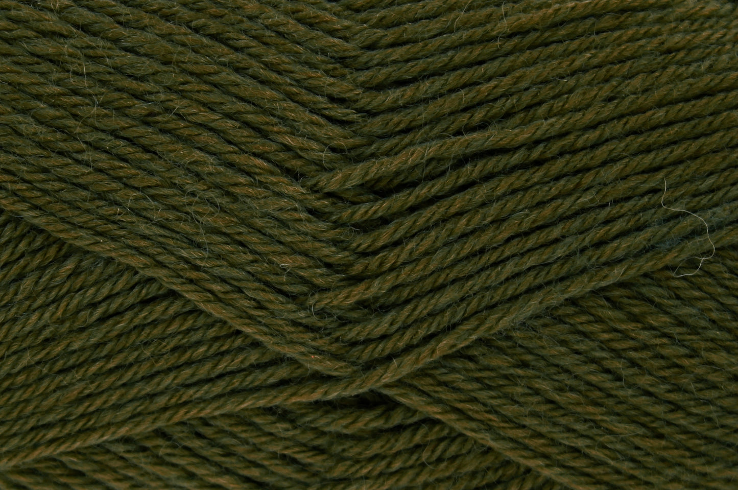 Gorse - 2667