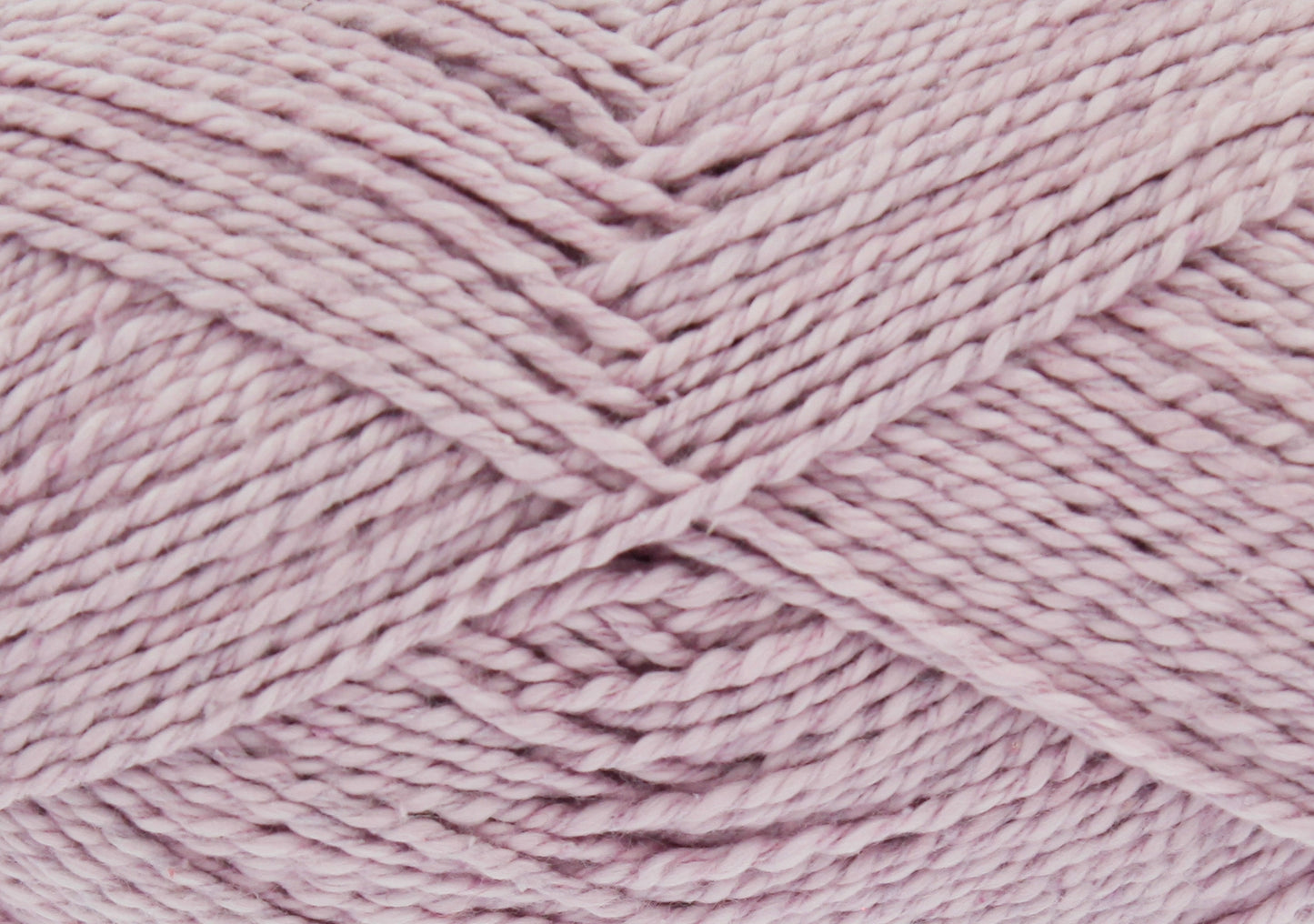 Wisteria - 2822