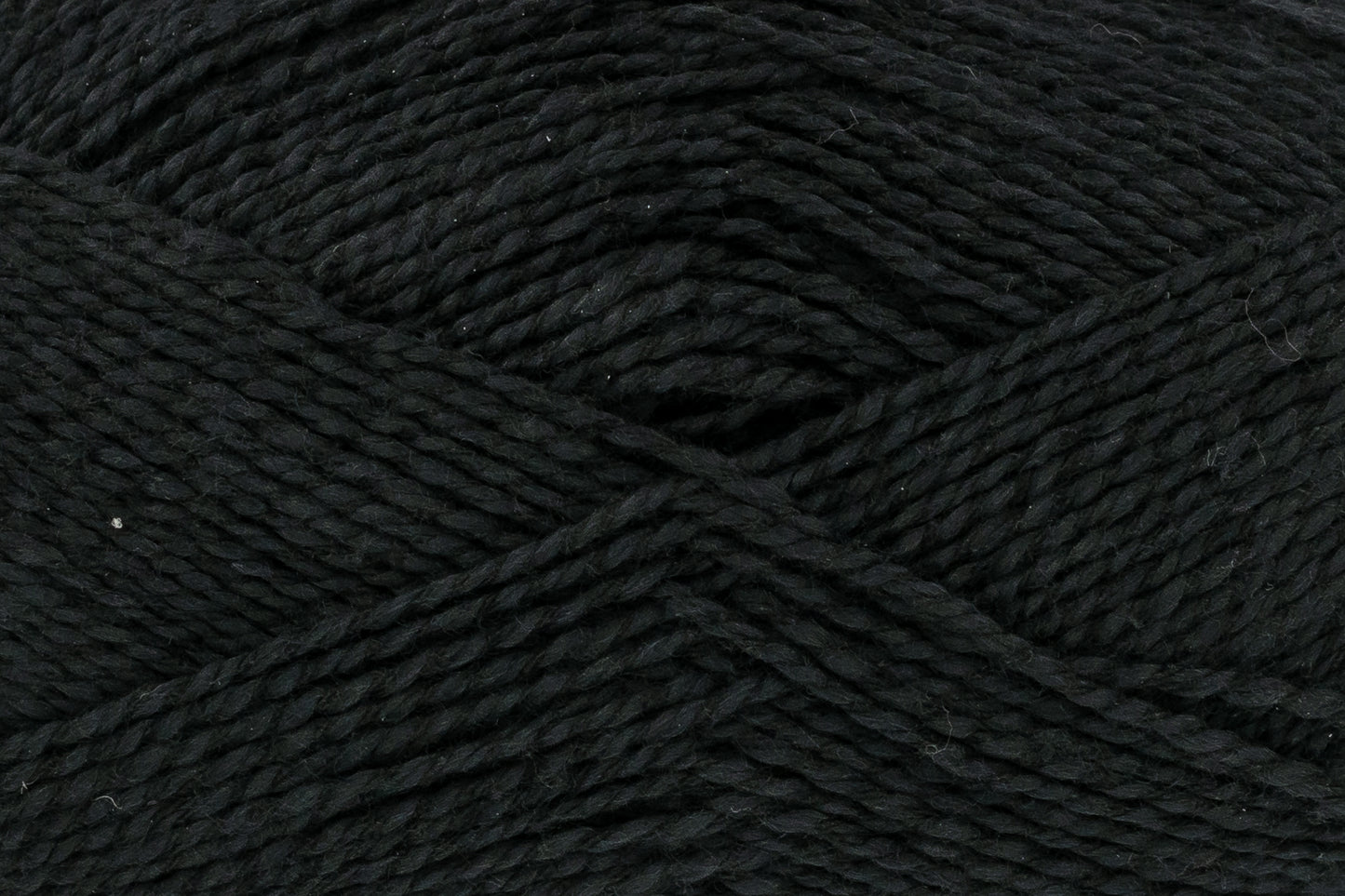 Noir - 2824