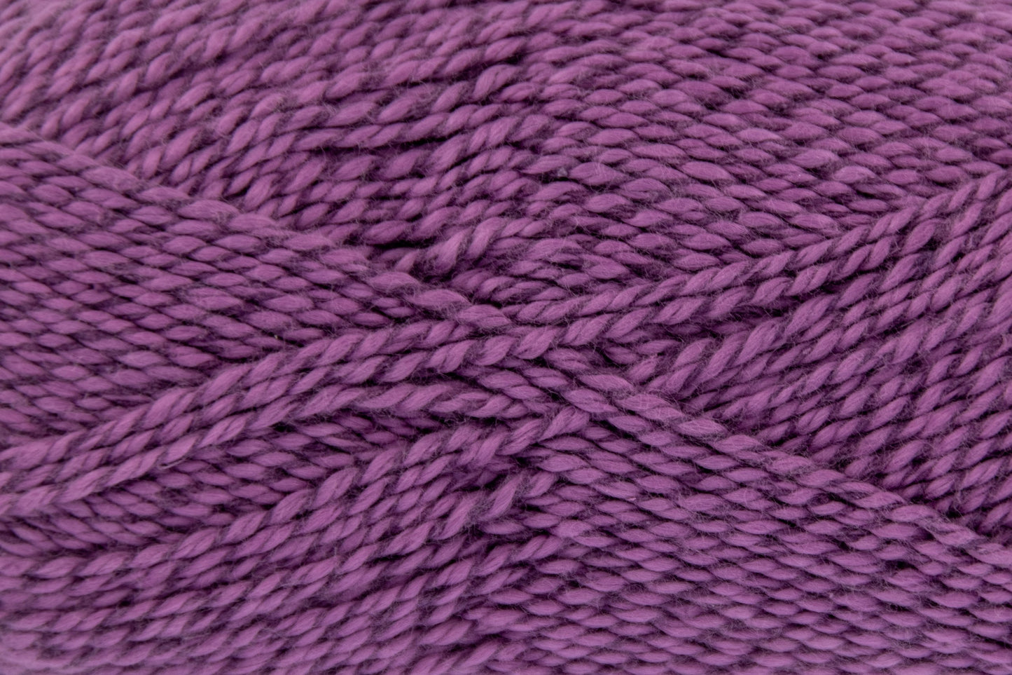Tulip - 2826