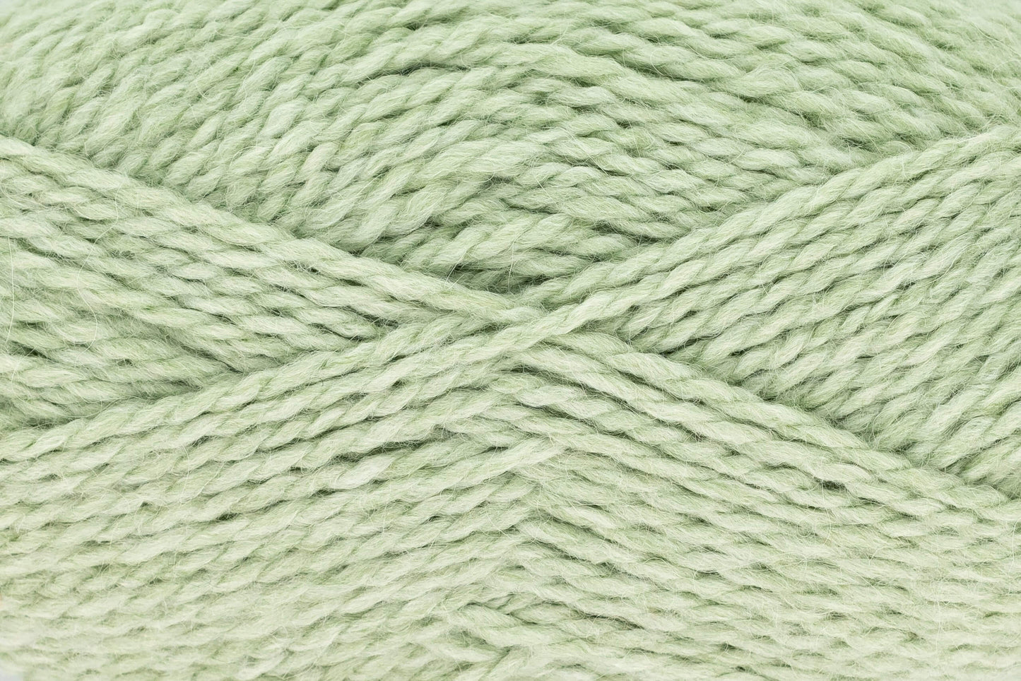 Green Tea - 2923