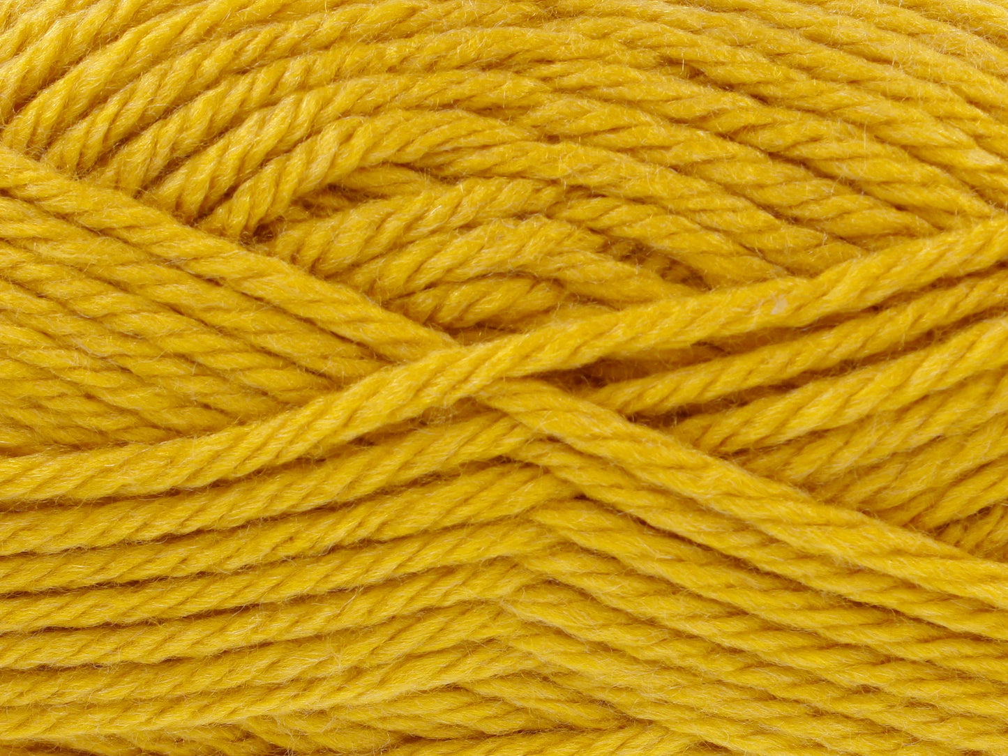 Mustard - 3121