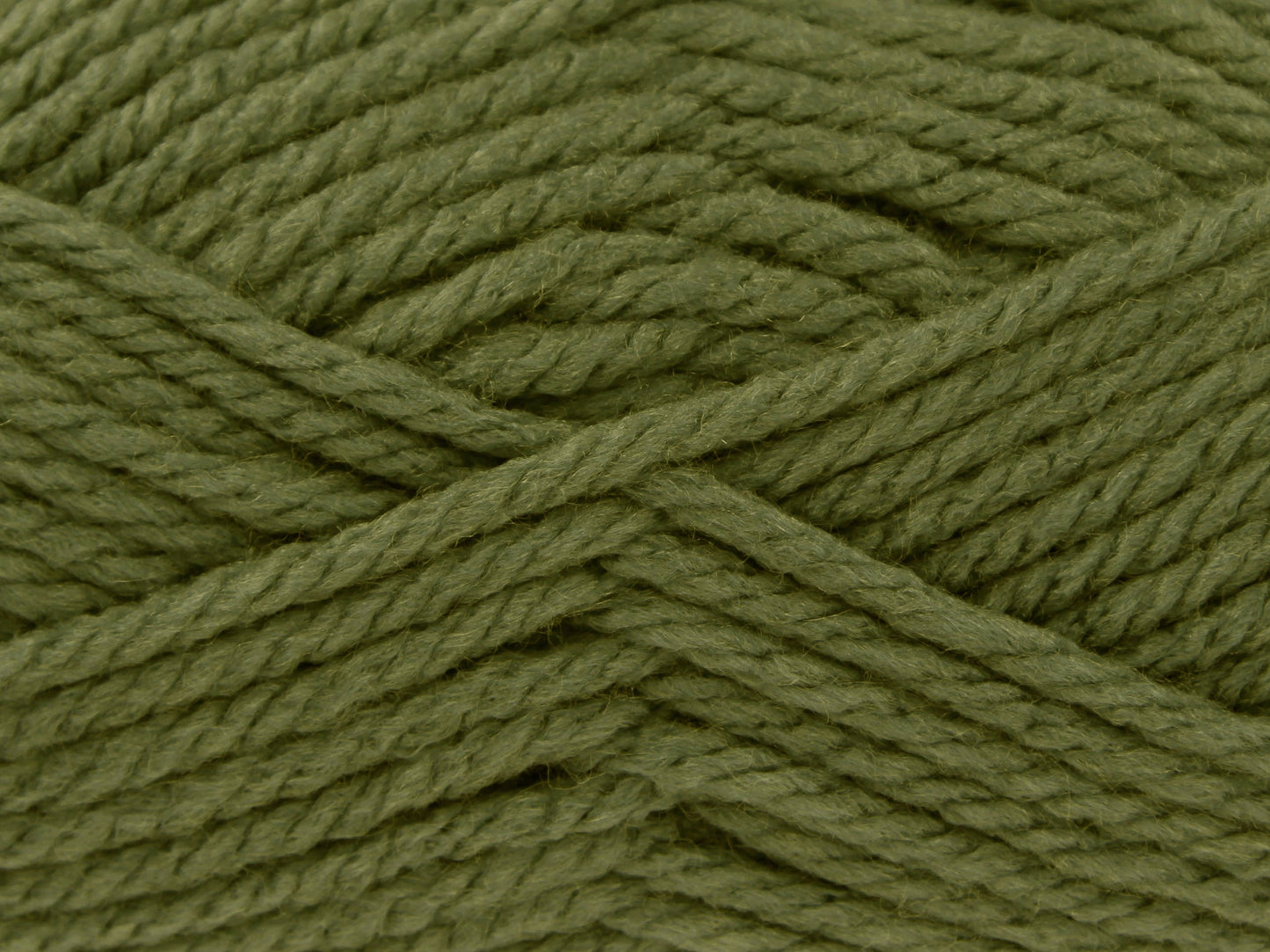 Fern - 3309