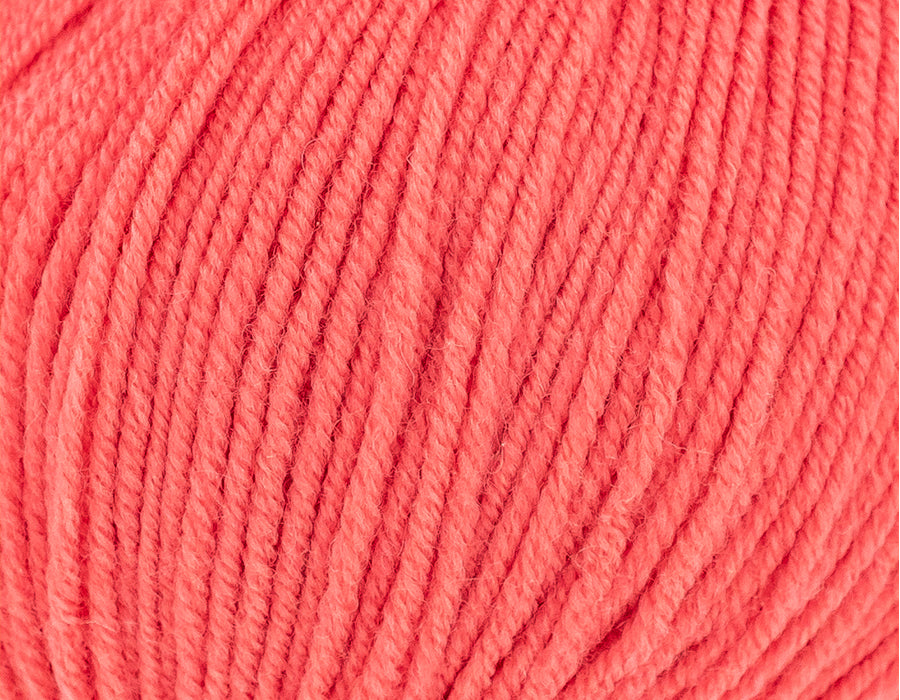 Watermelon - 3393