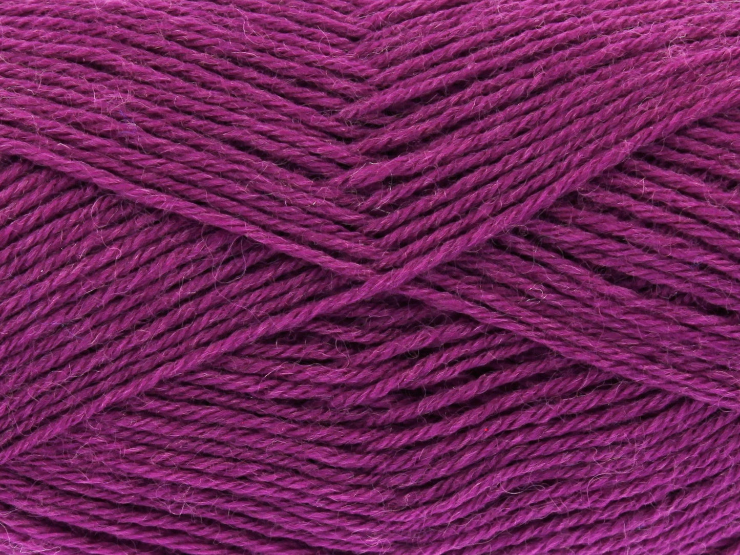 Blackcurrant - 3394