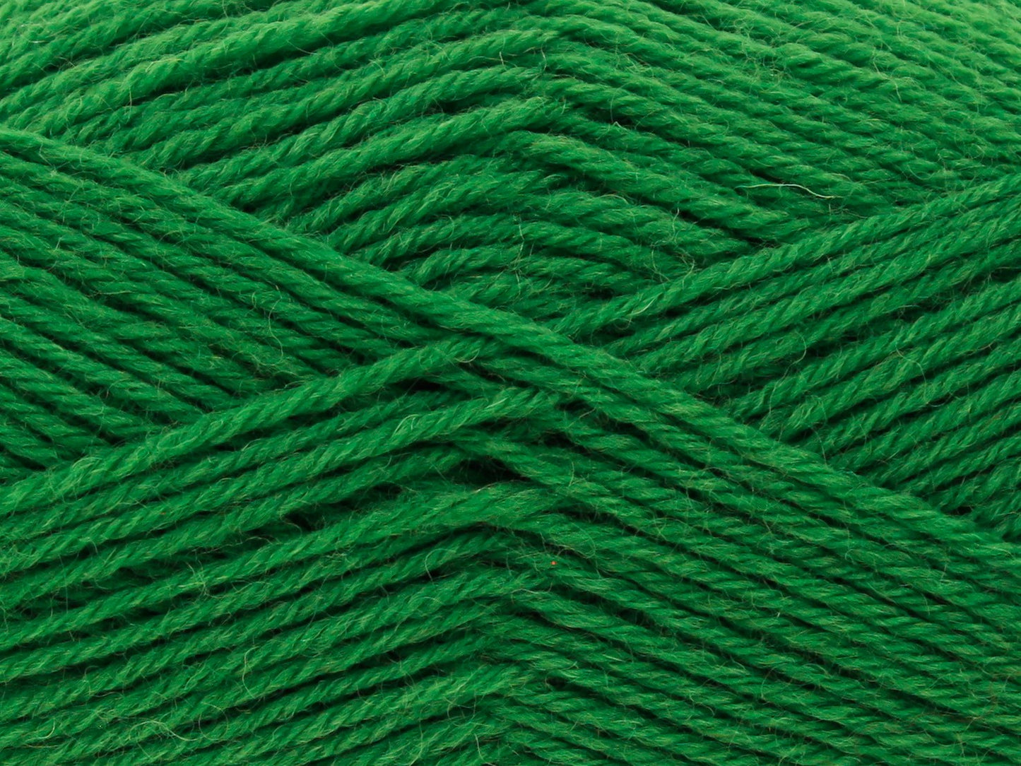Grass - 3396