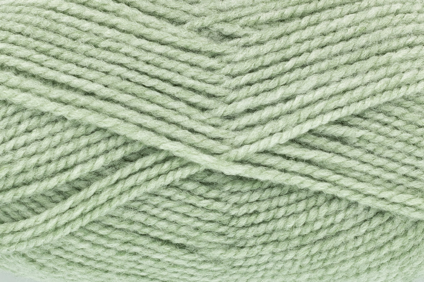Basil - 3489
