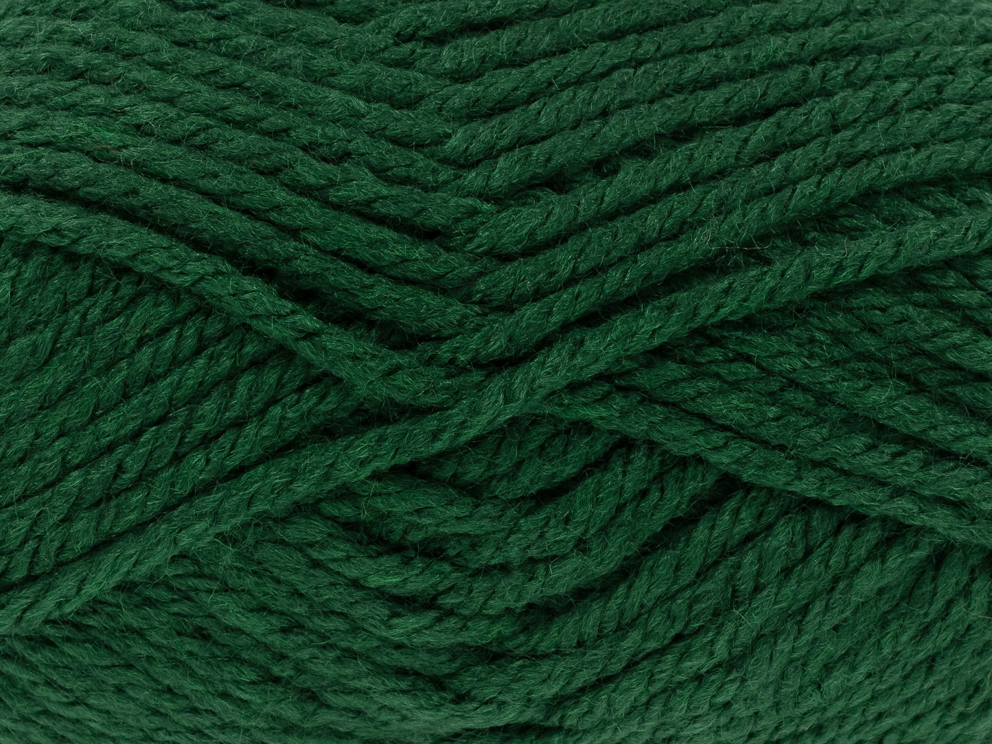Forest - 3489