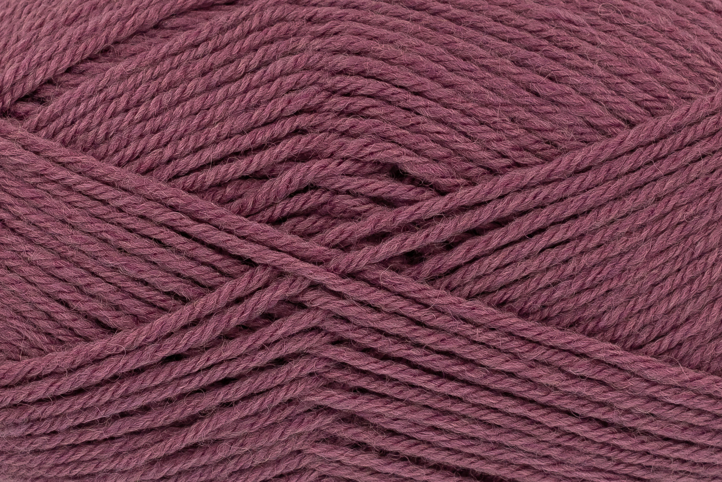 Petunia - 3490
