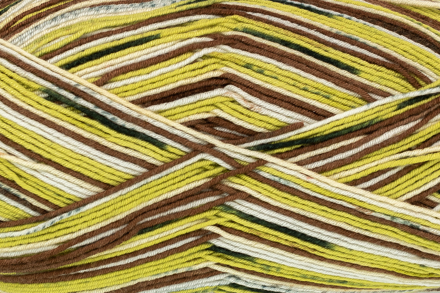 Kiwi Fruit - 4901