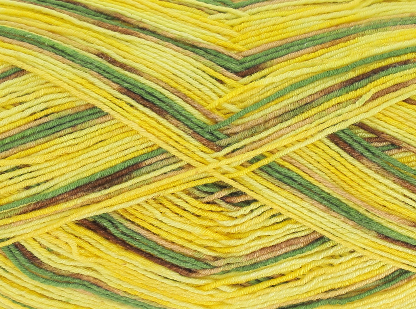 Pineapple - 4907