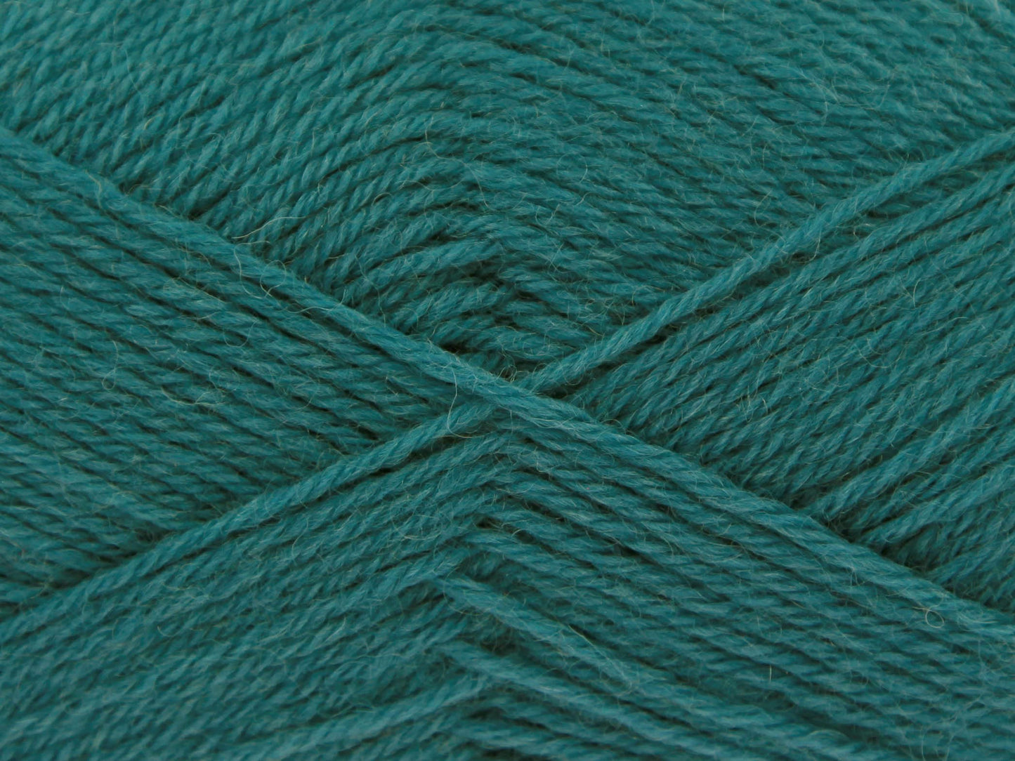 Kingfisher - 771