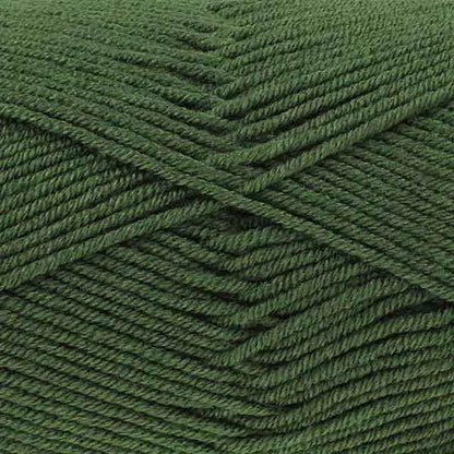 Fern - 3546