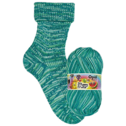 Opal Sock Starter Kit