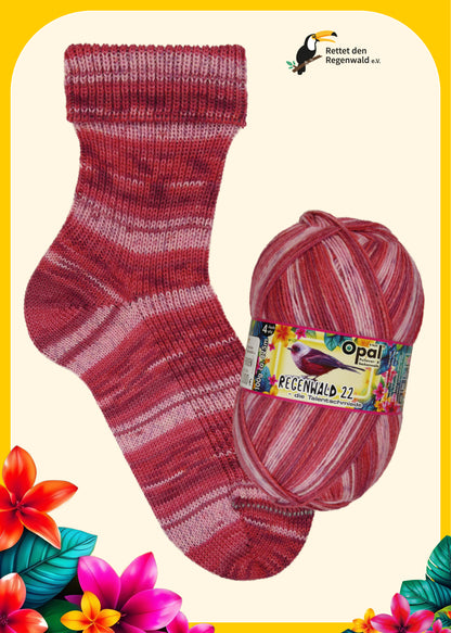 Opal Rain Forest 22 Sock Yarn