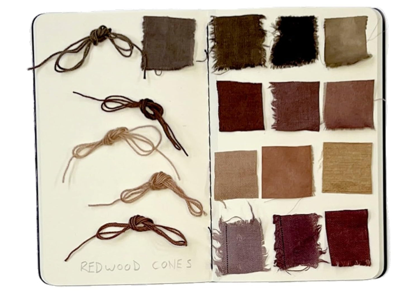 The Natural Dye Handbook by Heidi Iverson