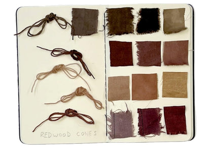 The Natural Dye Handbook by Heidi Iverson