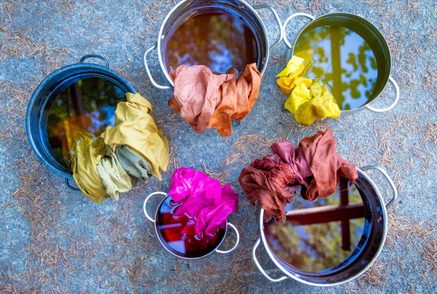 The Natural Dye Handbook by Heidi Iverson