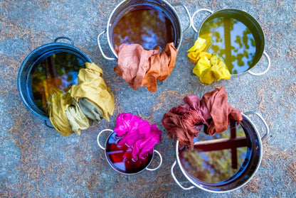 The Natural Dye Handbook by Heidi Iverson