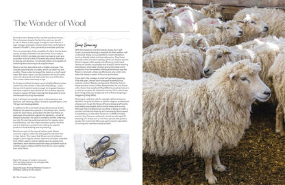 The Wonder of Wool- A knitter's guide to pure breed sheep by Justine Lee (Author)