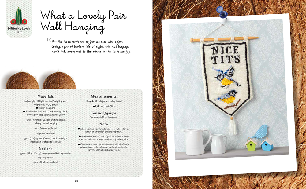 Nudinits at Home by Sarah Simi - 19 naughty knitting patterns for home accessories