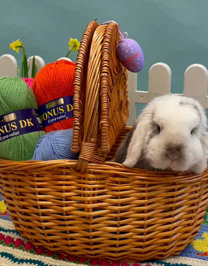 Sirdar Easter Egg Crochet Along (CAL)