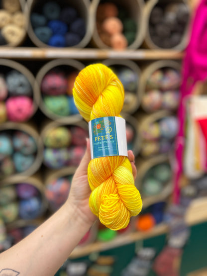 Pete's Fiber Studio - Hand Dyed Yarn 4 ply sock yarn 100g