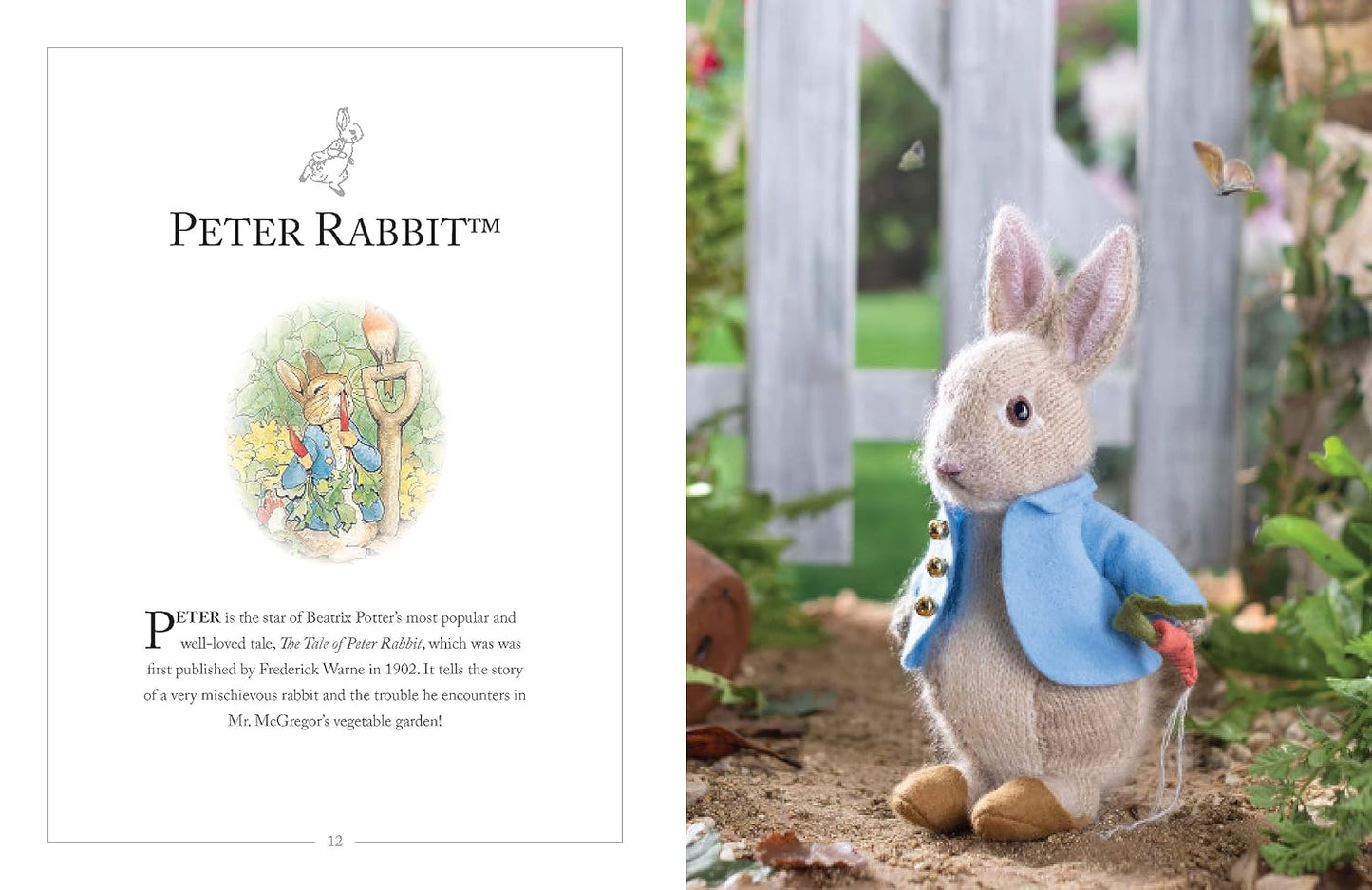 Knitting Peter Rabbit by Clare Garland