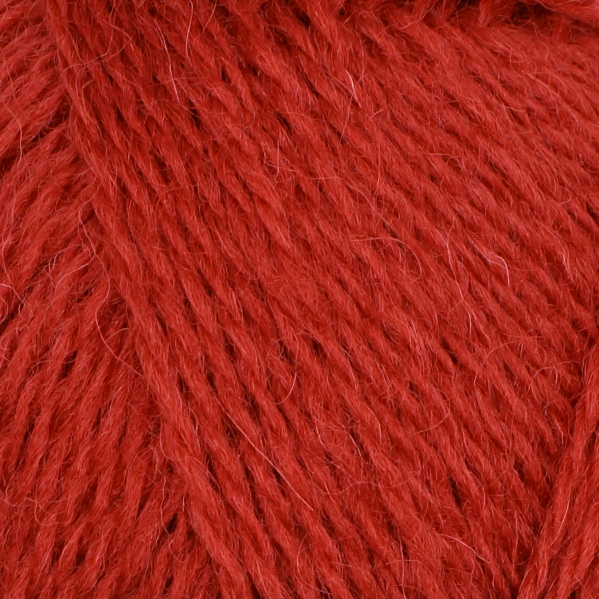 Baa Ram Ewe  - Pip Colourwork 100% Wool 4ply
