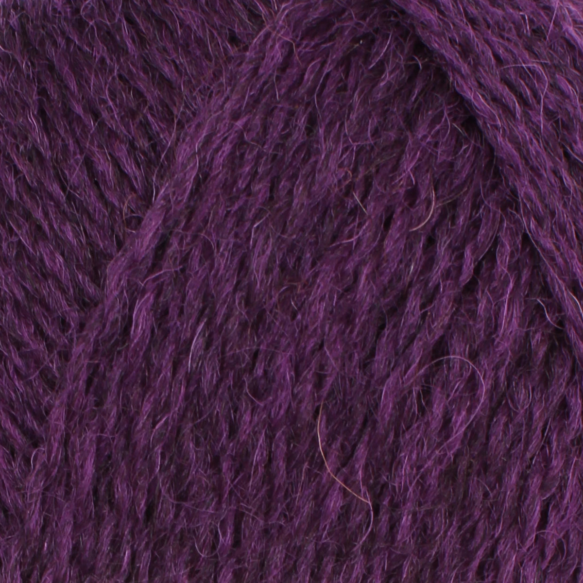 Baa Ram Ewe  - Pip Colourwork 100% Wool 4ply